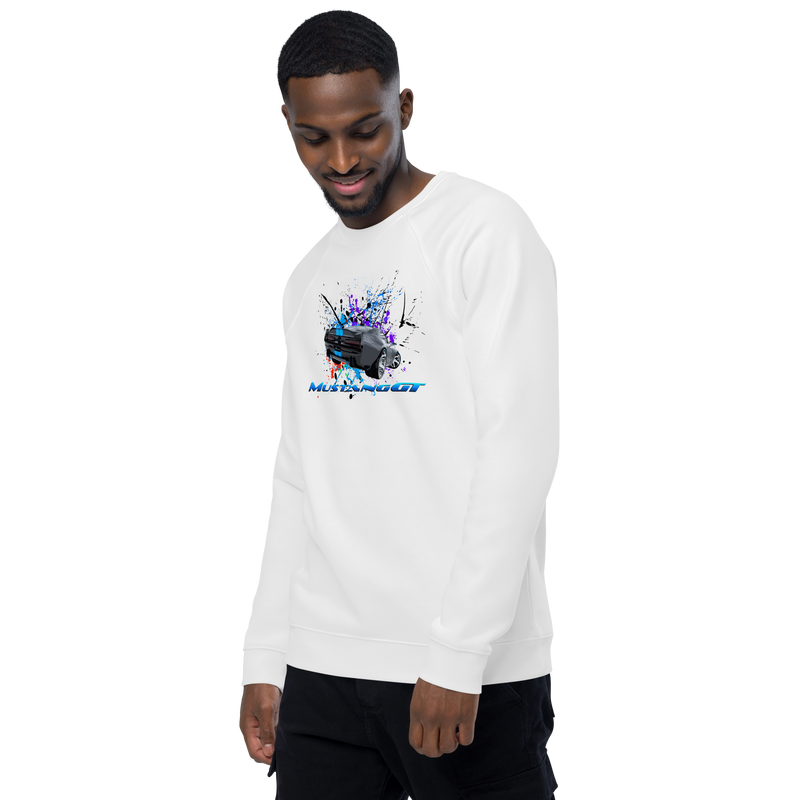 Unisex organic raglan sweatshirt